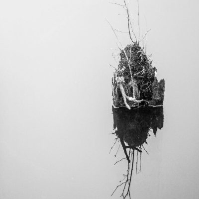 reflection
